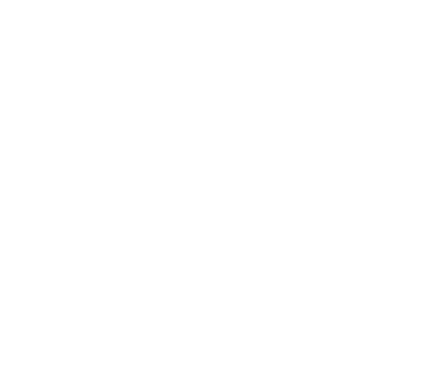 Barbeque Spice